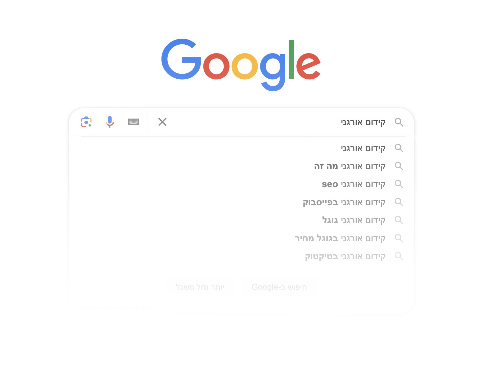 קידום אתרים seo